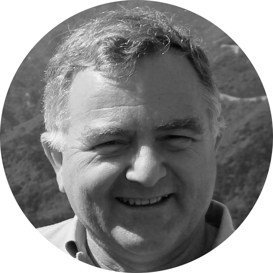 Learning Development Partner